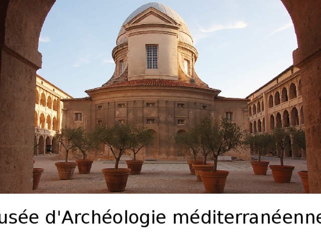   Musée d'Archéologie méditerranéenne 