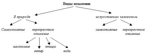 Перечислите виды опыления