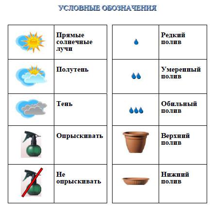 Комнатные растения 2 класс технологическая карта Проект" Комнатные растения"