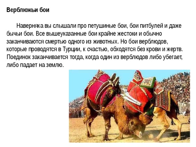 Самые необычные виды спорта реферат. Смотреть фото Самые необычные виды спорта реферат. Смотреть картинку Самые необычные виды спорта реферат. Картинка про Самые необычные виды спорта реферат. Фото Самые необычные виды спорта реферат