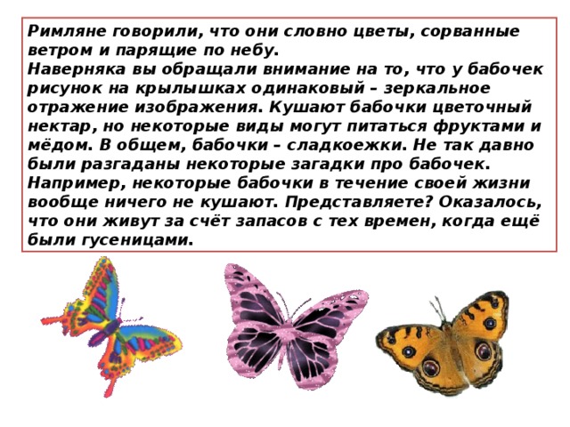 Римляне говорили, что они словно цветы, сорванные ветром и парящие по небу. Наверняка вы обращали внимание на то, что у бабочек рисунок на крылышках одинаковый – зеркальное отражение изображения. Кушают бабочки цветочный нектар, но некоторые виды могут питаться фруктами и мёдом. В общем, бабочки – сладкоежки. Не так давно были разгаданы некоторые загадки про бабочек. Например, некоторые бабочки в течение своей жизни вообще ничего не кушают. Представляете? Оказалось, что они живут за счёт запасов с тех времен, когда ещё были гусеницами. 