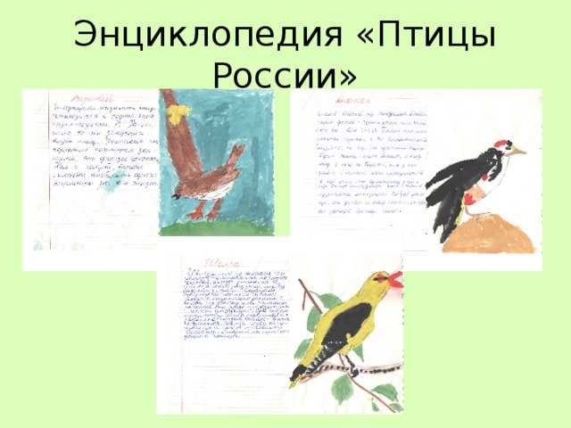 Энциклопедия «Птицы России» 