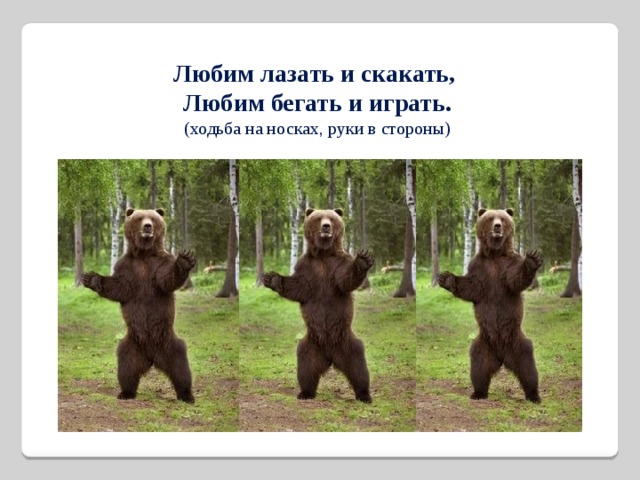 Любим лазать и скакать, Любим бегать и играть. (ходьба на носках, руки в стороны) 