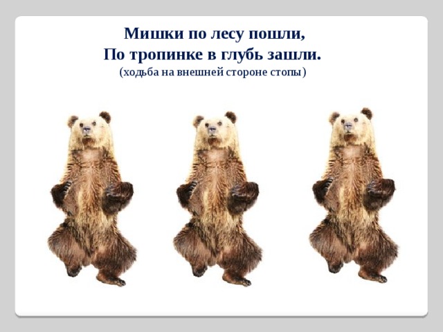 Мишки по лесу пошли, По тропинке в глубь зашли. (ходьба на внешней стороне стопы) 