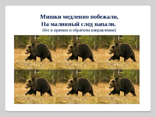 Мишки медленно побежали, На малинный след напали. (бег в прямом и обратном направлении) 