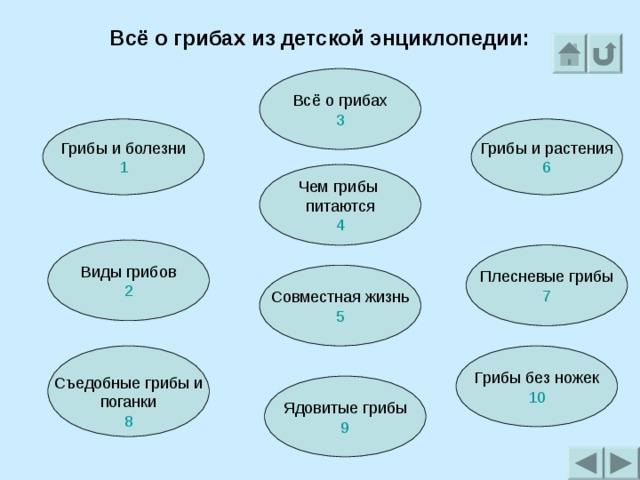 Всё о грибах из детской энциклопедии: Всё о грибах 3 Грибы и болезни 1 Грибы и растения 6 Чем грибы питаются 4 Виды грибов 2 Плесневые грибы 7 Совместная жизнь 5 Съедобные грибы и поганки 8 Грибы без ножек 10 Ядовитые грибы 9 