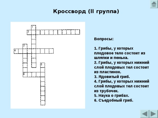 Кроссворд (II группа) Вопросы:  1. Грибы, у которых плодовое тело состоит из шляпки и пенька. 2. Грибы, у которых нижний слой плодовых тел состоит из пластинок. 3. Ядовитый гриб. 4. Грибы, у которых нижний слой плодовых тел состоит из трубочек. 5. Наука о грибах. 6. Съедобный гриб. 