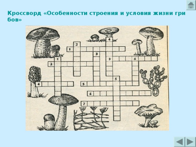 Кроссворд «Особенности строения и условия жизни грибов» 