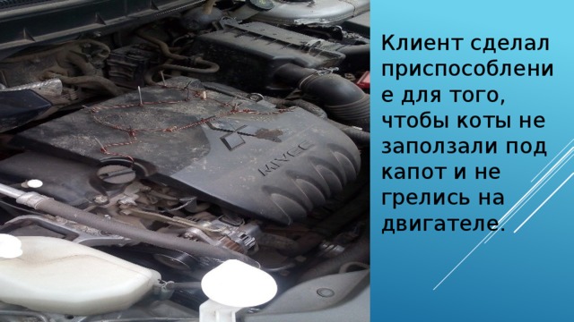 Клиент сделал приспособление для того, чтобы коты не заползали под капот и не грелись на двигателе.