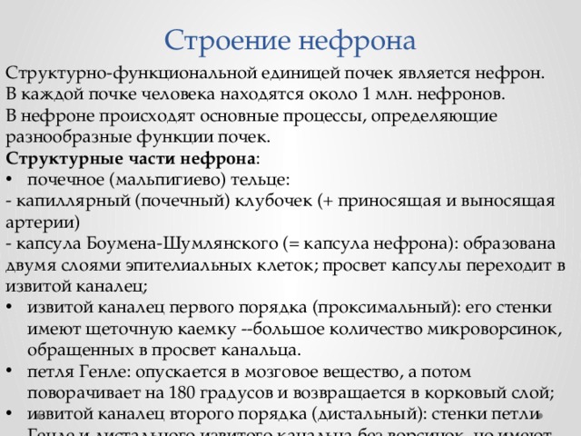 Строение нефрона Структурно-функциональной единицей почек является нефрон. В каждой почке человека находятся около 1 млн. нефронов. В нефроне происходят основные процессы, определяющие разнообразные функции почек. Структурные части нефрона : почечное (мальпигиево) тельце: - капиллярный (почечный) клубочек (+ приносящая и выносящая артерии) - капсула Боумена-Шумлянского (= капсула нефрона): образована двумя слоями эпителиальных клеток; просвет капсулы переходит в извитой каналец; извитой каналец первого порядка (проксимальный): его стенки имеют щеточную каемку --большое количество микроворсинок, обращенных в просвет канальца. петля Генле: опускается в мозговое вещество, а потом поворачивает на 180 градусов и возвращается в корковый слой; извитой каналец второго порядка (дистальный): стенки петли Генле и дистального извитого канальца без ворсинок, но имеют сильную складчатость; собирательная трубка. 