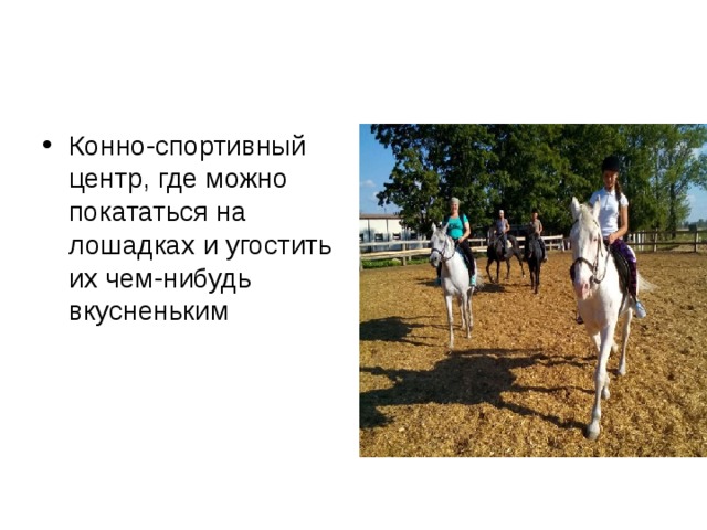 Конно-спортивный центр, где можно покататься на лошадках и угостить их чем-нибудь вкусненьким 