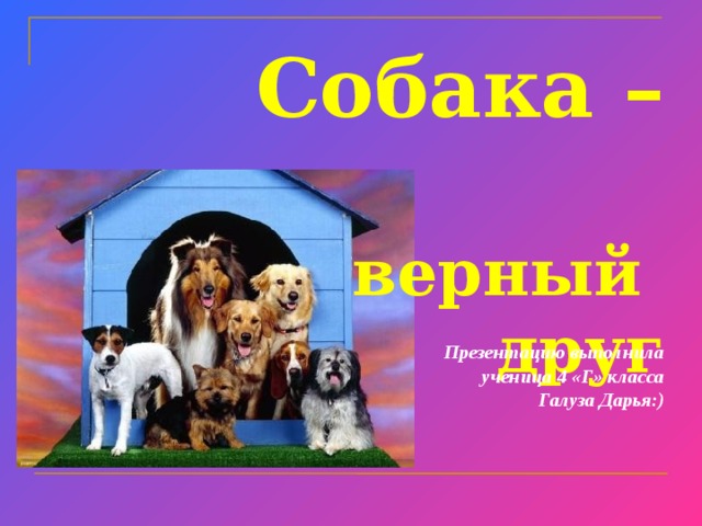Презентацию выполнила ученица 4 «Г» класса Галуза Дарья:) Собака –  верный  друг    