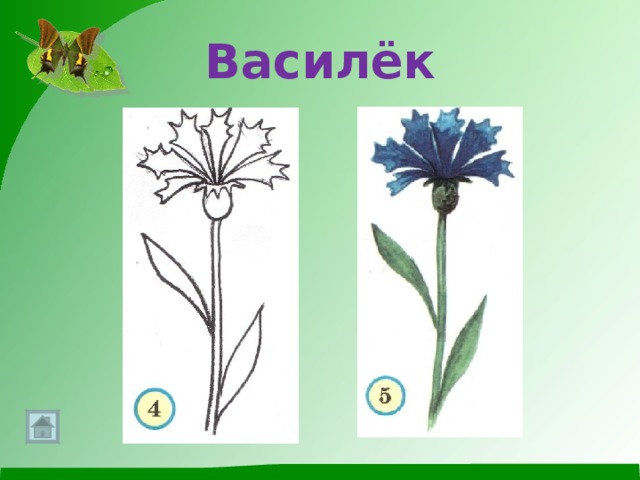 Детский рисунок василька