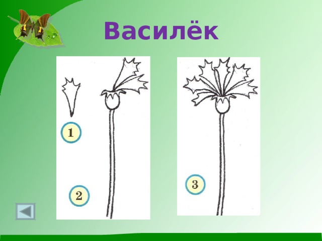 Рисуем весенние цветы презентация 1 класс