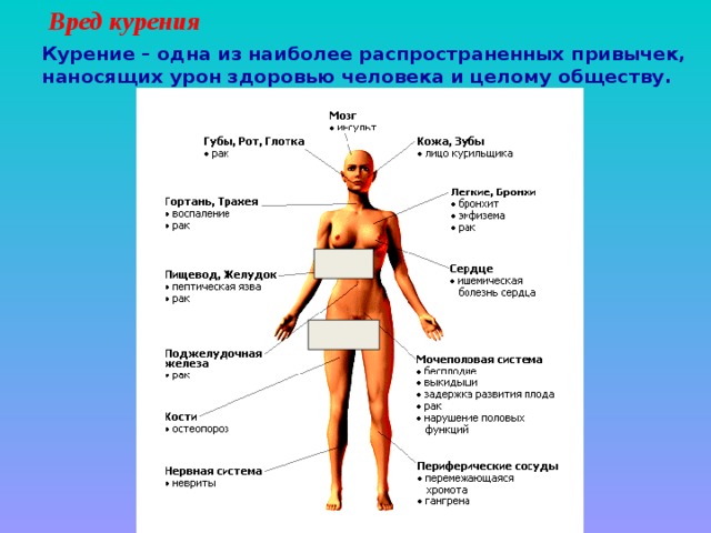 Вред курения  Курение – одна из наиболее распространенных привычек, наносящих урон здоровью человека и целому обществу .   