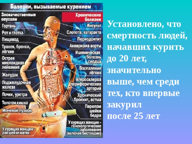  Установлено, что смертность людей, начавших курить до 20 лет, значительно выше, чем среди тех, кто впервые закурил после 25 лет 