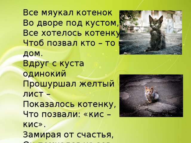 Все мяукал котенок Во дворе под кустом, Все хотелось котенку, Чтоб позвал кто – то в дом. Вдруг с куста одинокий Прошуршал желтый лист – Показалось котенку, Что позвали: «кис – кис». Замирая от счастья, Он помчался на зов, Только дверь оказалась Заперта на засов. 