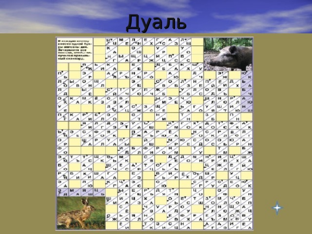 Дуаль 