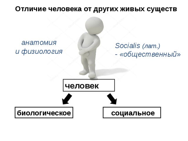 Что делает человека человеком проект