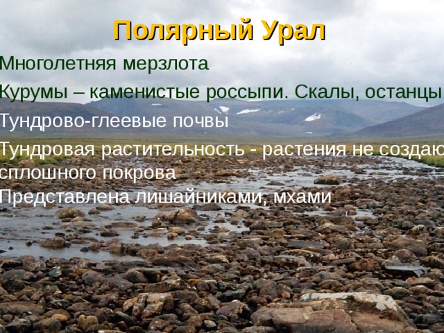 Полезные ископаемые полярного урала. Почвы полярного Урала. Растения полярного Урала. Почвы полярного Урала кратко. Полярный Урал кратко.