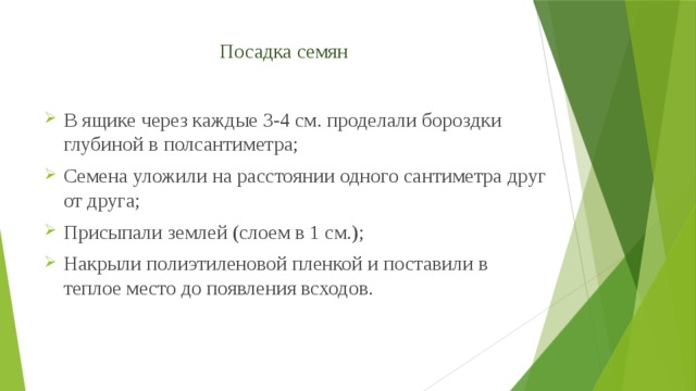 Посадка семян В ящике через каждые 3-4 см. проделали бороздки глубиной в полсантиметра; Семена уложили на расстоянии одного сантиметра друг от друга; Присыпали землей (слоем в 1 см.); Накрыли полиэтиленовой пленкой и поставили в теплое место до появления всходов. 