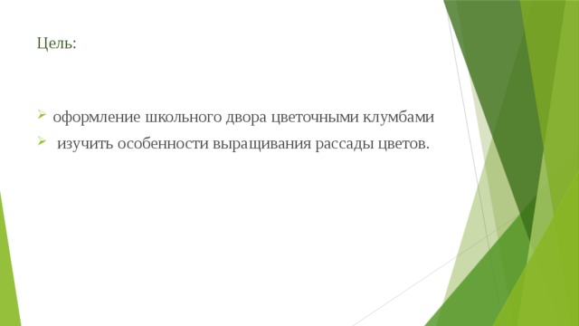 Цель: оформление школьного двора цветочными клумбами  изучить особенности выращивания рассады цветов. 