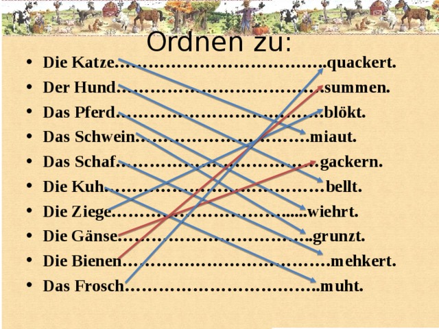 Ordnen zu: