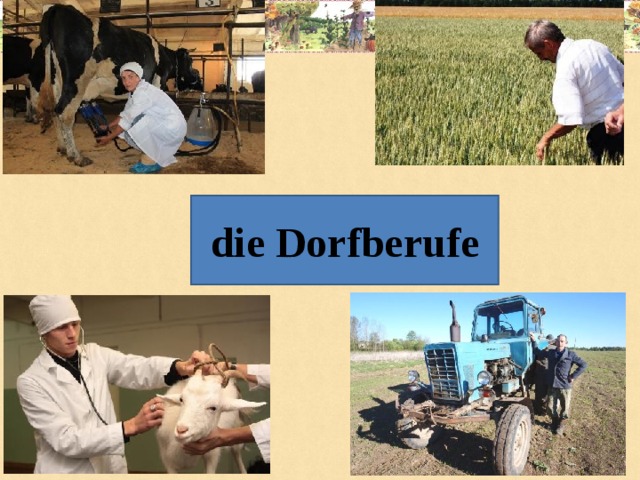 die Dorfberufe