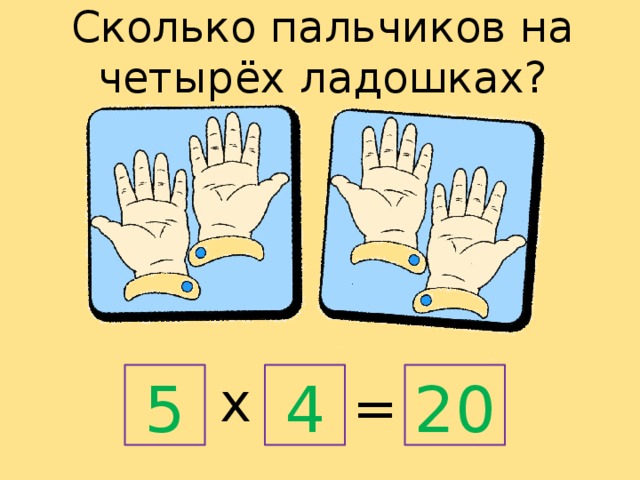 Сколько пальчиков на четырёх ладошках? х 5 4 20 = 