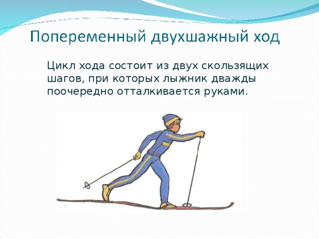 Цикл хода состоит из двух скользящих шагов, при которых лыжник дважды поочередно отталкивается руками. 