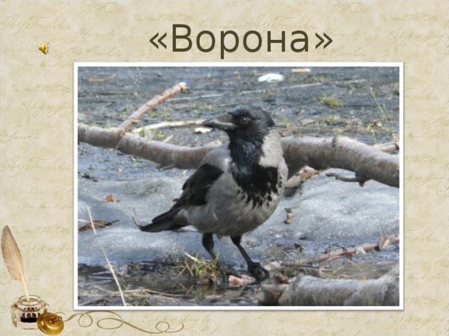 Как ворона на крыше заблудилась план