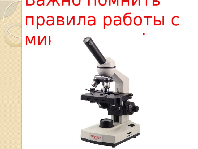 Важно помнить правила работы с микроскопом! 
