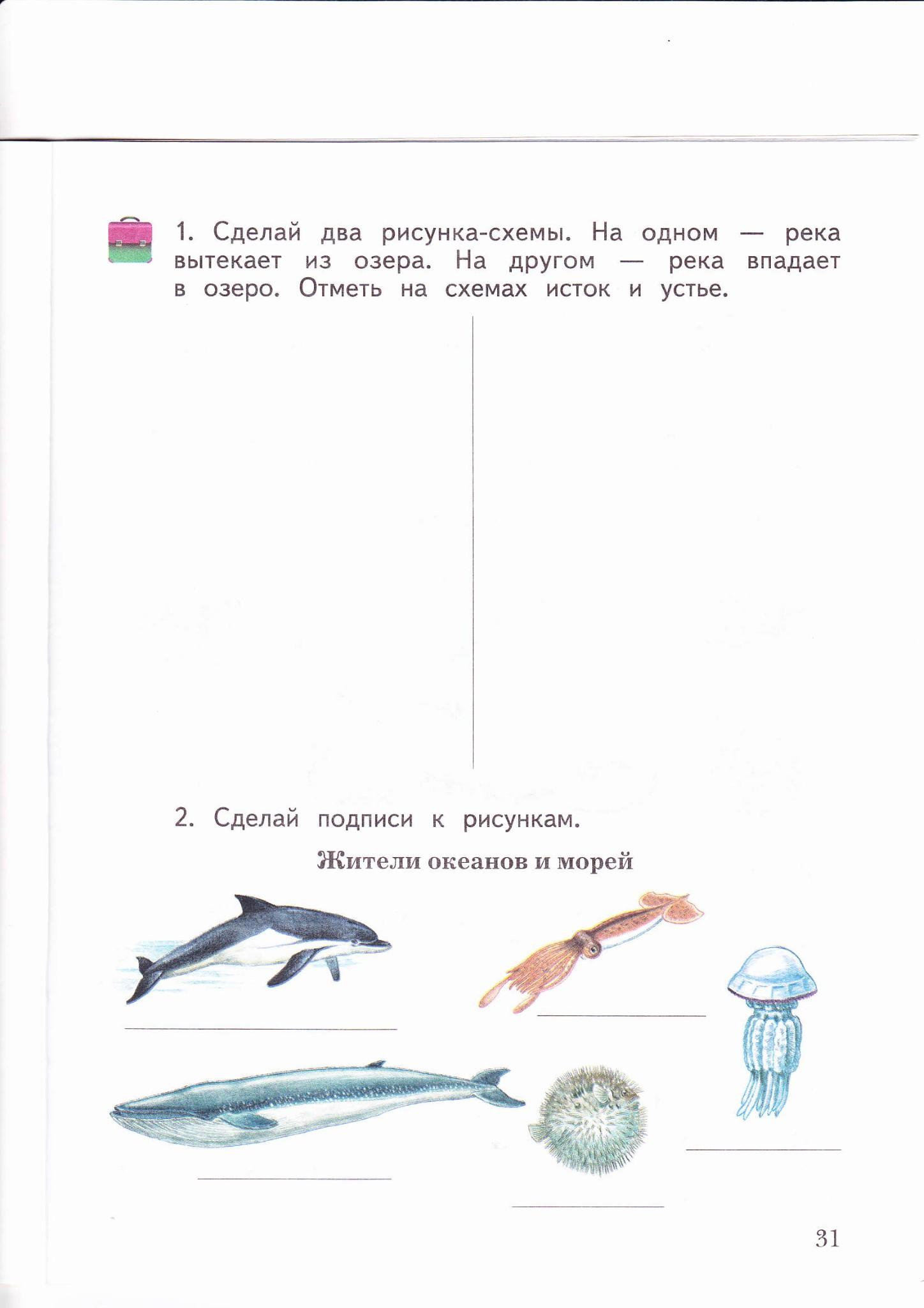 Презентация обитатели соленых водоемов 2 класс школа 21 века