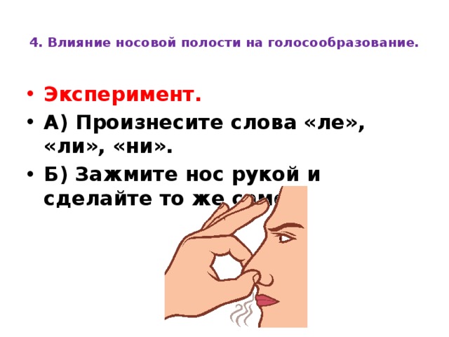  4. Влияние носовой полости на голосообразование.   Эксперимент.   А) Произнесите слова «ле», «ли», «ни». Б) Зажмите нос рукой и сделайте то же самое.   