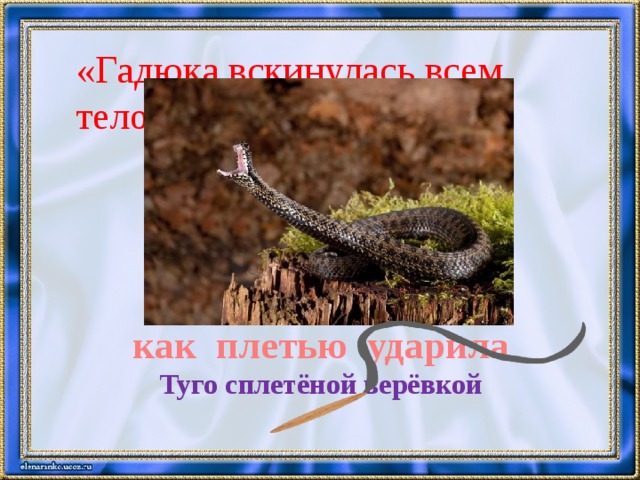 «Гадюка вскинулась всем телом»  как плетью ударила Туго сплетёной верёвкой 