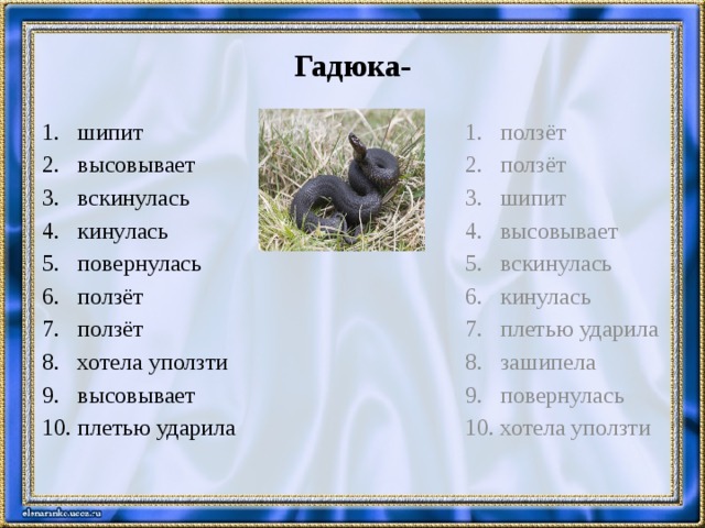 Гадюка- шипит высовывает вскинулась кинулась повернулась ползёт ползёт хотела уползти высовывает плетью ударила ползёт ползёт шипит высовывает вскинулась кинулась плетью ударила зашипела повернулась хотела уползти 