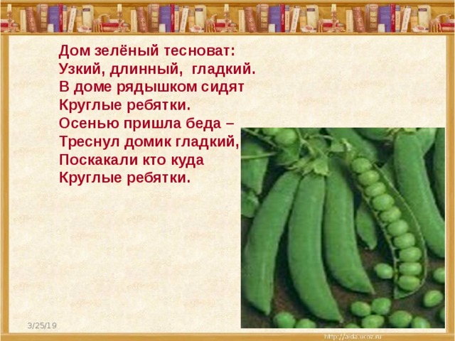  Дом зелёный тесноват:  Узкий, длинный, гладкий.  В доме рядышком сидят  Круглые ребятки.  Осенью пришла беда –  Треснул домик гладкий,  Поскакали кто куда  Круглые ребятки. 3/25/19  
