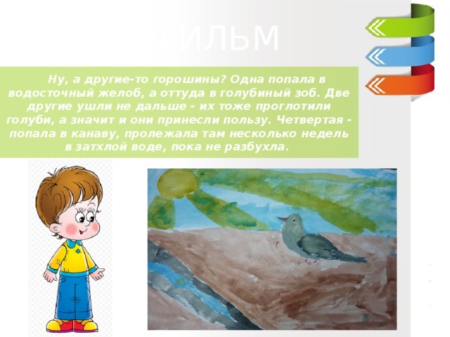 ДИАФИЛЬМ  ДИАФИЛЬМ  ДИАФИЛЬМ     Ну, а другие-то горошины? Одна попала в водосточный желоб, а оттуда в голубиный зоб. Две другие ушли не дальше - их тоже проглотили голуби, а значит и они принесли пользу. Четвертая - попала в канаву, пролежала там несколько недель в затхлой воде, пока не разбухла.  Ганс –Христиан Андерсен «Пятеро из одного стручка» 3 класс «В»   МОУ «Гимназия №5»   Учитель : Куликова Ирина Николаевна   