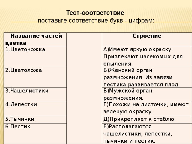 Тест на соответствие 6. Тест на соответствие. Цветоножка имеют яркую окраску привлекают насекомых для опыления. Как сделать тест на соответствие. Тесты на соответствие примеры.