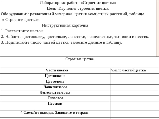 Строение цветка лабораторная работа 6 класс