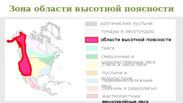 Какие природные зоны есть в северной америке. Зона области ВЫСОТНОЙ поясности. Область высокой поясности зона. Области ВЫСОТНОЙ поясности на карте России. Зоны ВЫСОТНОЙ поясности в России на карте.