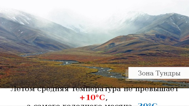 Зона Тундры Летом средняя температура не превышает +10°С , а самого холодного месяца -30°С . 