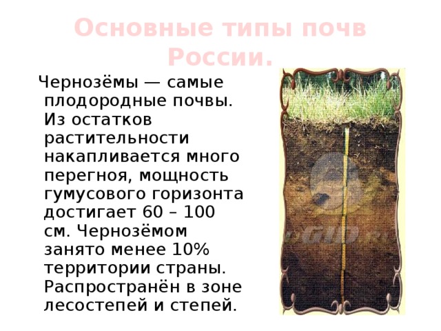 Основные типы почв России.  Чернозёмы — самые плодородные почвы. Из остатков растительности накапливается много перегноя, мощность гумусового горизонта достигает 60 – 100 см. Чернозёмом занято менее 10% территории страны. Распространён в зоне лесостепей и степей. 