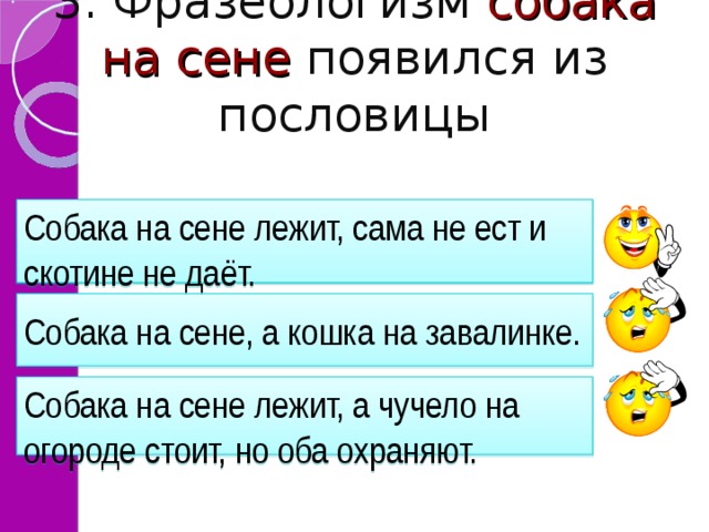 Пословица пес. Собака на сене пословица. Собака на сене лежит пословица. Собака на сене лежит сама не ест. Собака на сене лежит сама не ест и скотине не дает.