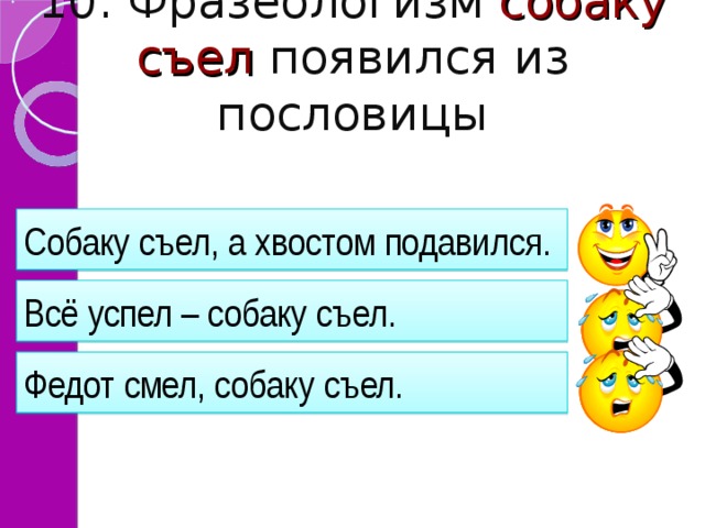 Пословица пес не старый ветер. Собаку съел значение фразеологизма. Собаку съел а хвостом подавился. Собаку съел значение пословицы. Что означает фразеологизм собаку съел.