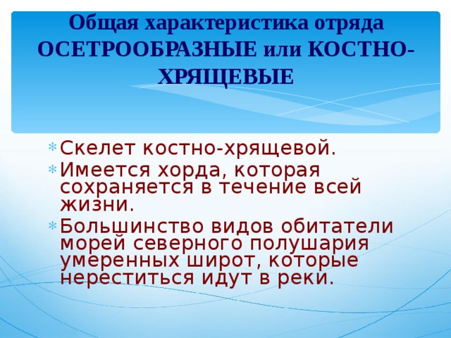 Общая характеристика отряда ОСЕТРООБРАЗНЫЕ или КОСТНО-ХРЯЩЕВЫЕ Скелет костно-хрящевой. Имеется хорда, которая сохраняется в течение всей жизни. Большинство видов обитатели морей северного полушария умеренных широт, которые нереститься идут в реки. 