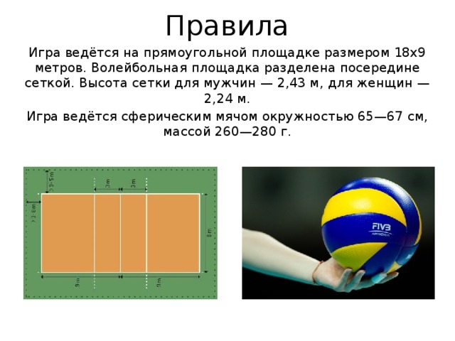 Выберите правильный вариант высоты волейбольной сетки женская. Высота сетки волейбольной площадки. Размеры площадки для игры в волейбол. Волейбольная площадка 9х18. Высота волейбольной сетки для мужчин.