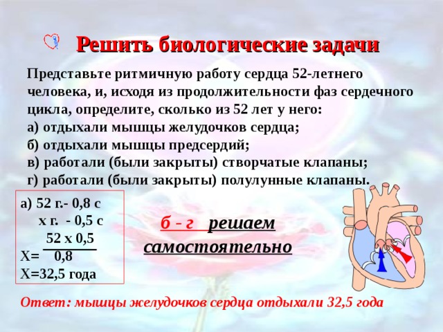 Решить биологические задачи Представьте ритмичную работу сердца 52-летнего человека, и, исходя из продолжительности фаз сердечного цикла, определите, сколько из 52 лет у него: а) отдыхали мышцы желудочков сердца; б) отдыхали мышцы предсердий; в) работали (были закрыты) створчатые клапаны; г) работали (были закрыты) полулунные клапаны. а) 52 г.- 0,8 с  х г. - 0,5 с  52 х 0,5 Х= 0,8 Х=32,5 года б - г решаем самостоятельно Ответ: мышцы желудочков сердца отдыхали 32,5 года 