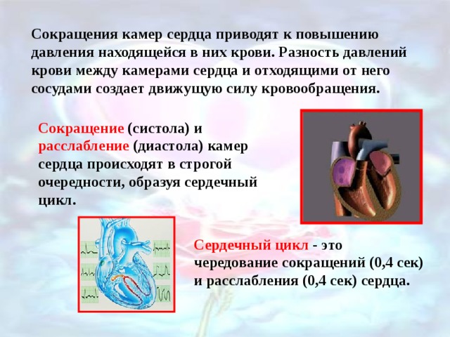Сокращения камер сердца приводят к повышению давления находящейся в них крови. Разность давлений крови между камерами сердца и отходящими от него сосудами создает движущую силу кровообращения. Сокращение (систола) и расслабление (диастола) камер сердца происходят в строгой очередности, образуя сердечный цикл. Сердечный цикл - это чередование сокращений (0,4 сек) и расслабления (0,4 сек) сердца. 