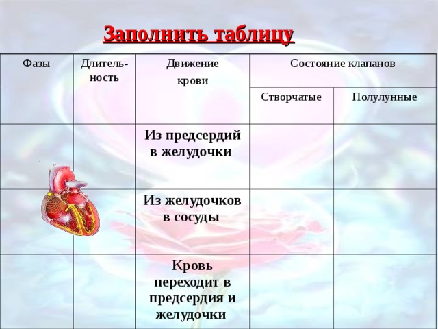 Заполнить таблицу Фазы Длитель-ность Движение крови Состояние клапанов Створчатые Из предсердий в желудочки  Полулунные Из желудочков в сосуды Кровь переходит в предсердия и желудочки 